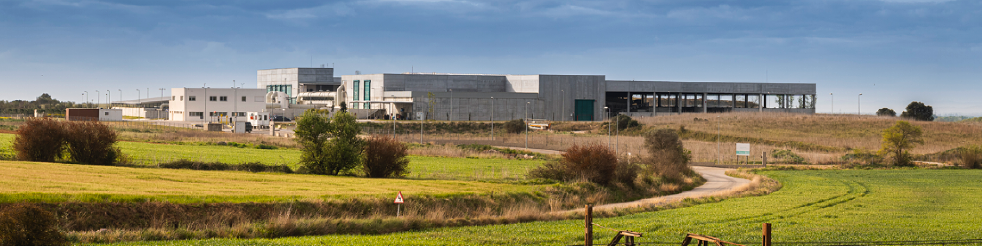 Capçalera plantes 1