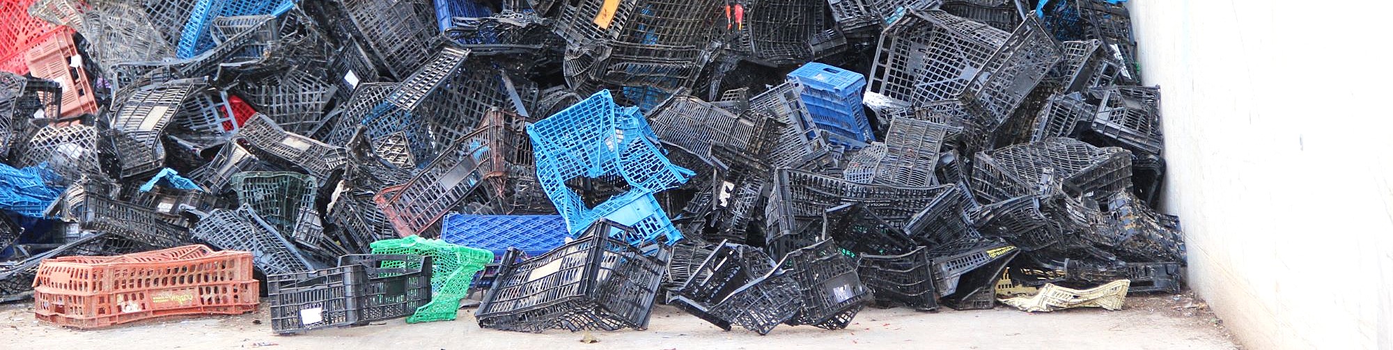 Capçalera Valoritzables 3